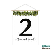 Milestone Scroll Banner 2nd Birthday D208 Set of 1 | M | Black White