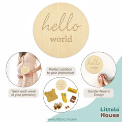 Hello World Milestone Card Style 1 | Wooden Decorative | Natural Wood