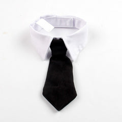 Baby Tie Collar O083 | NB | Black