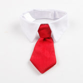 Baby Tie Collar O083 | NB | Red