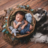 Baby Boy Plaid Vest & Pant SR003 | Set of 2 | 2M | Navy Blue