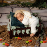 Carrot Set of 10 | Feltwool | Orange