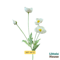 Iceland Poppy Flower F111 | Bunch of 2 | White