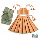 Baby Girl Traditional Lehenga Choli with Dupatta Outfit O221 | 1-2Y | Pastel Orange
