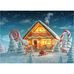 LB0022 Snowy Christmas House with lights Festivals and Seasons Backdrop