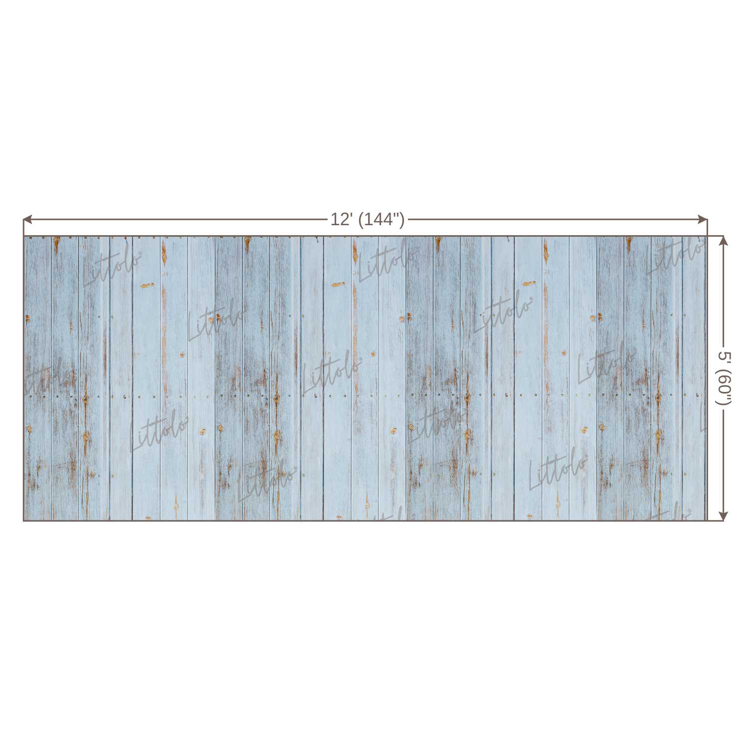 LB0110 Planks Backdrop
