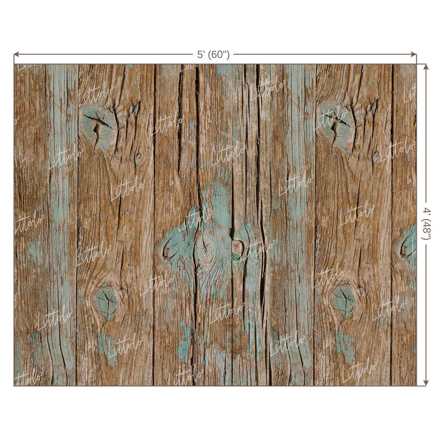 LB0112 Planks Backdrop