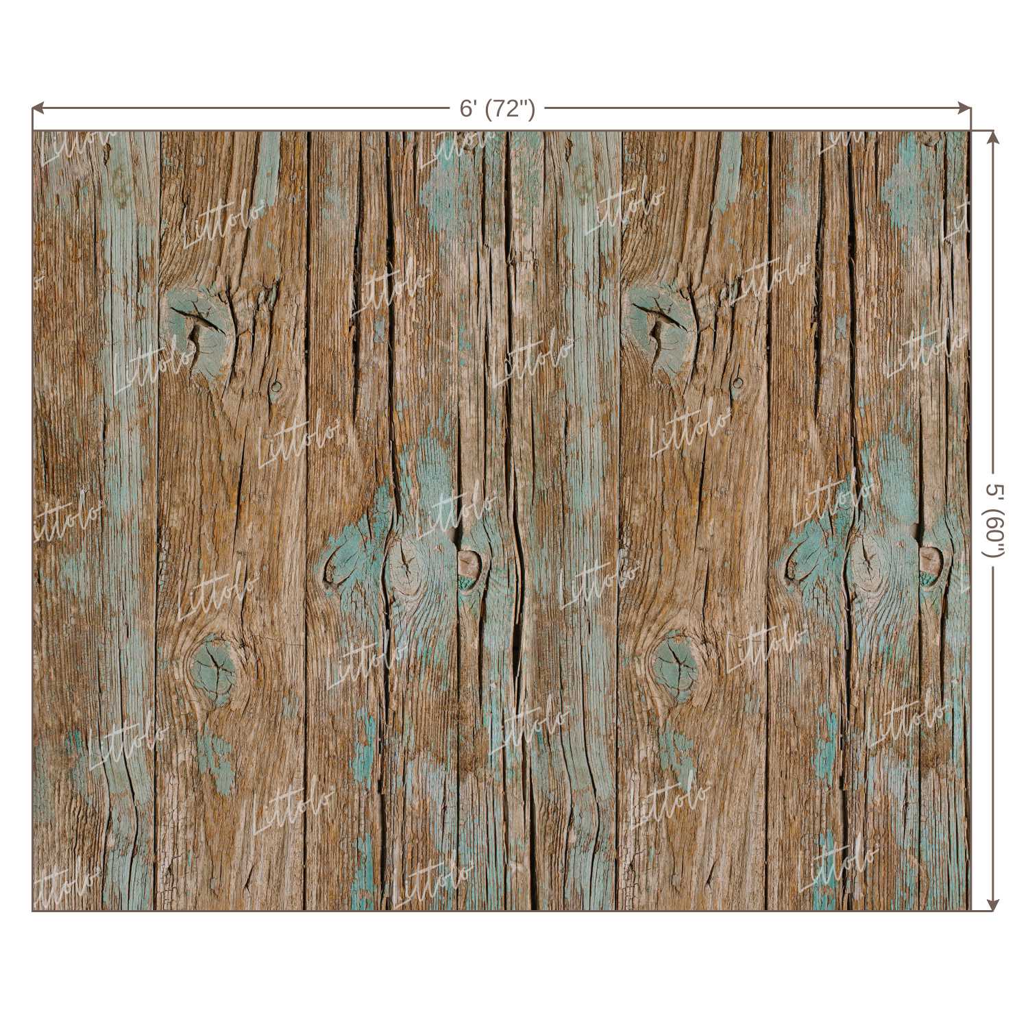 LB0112 Planks Backdrop