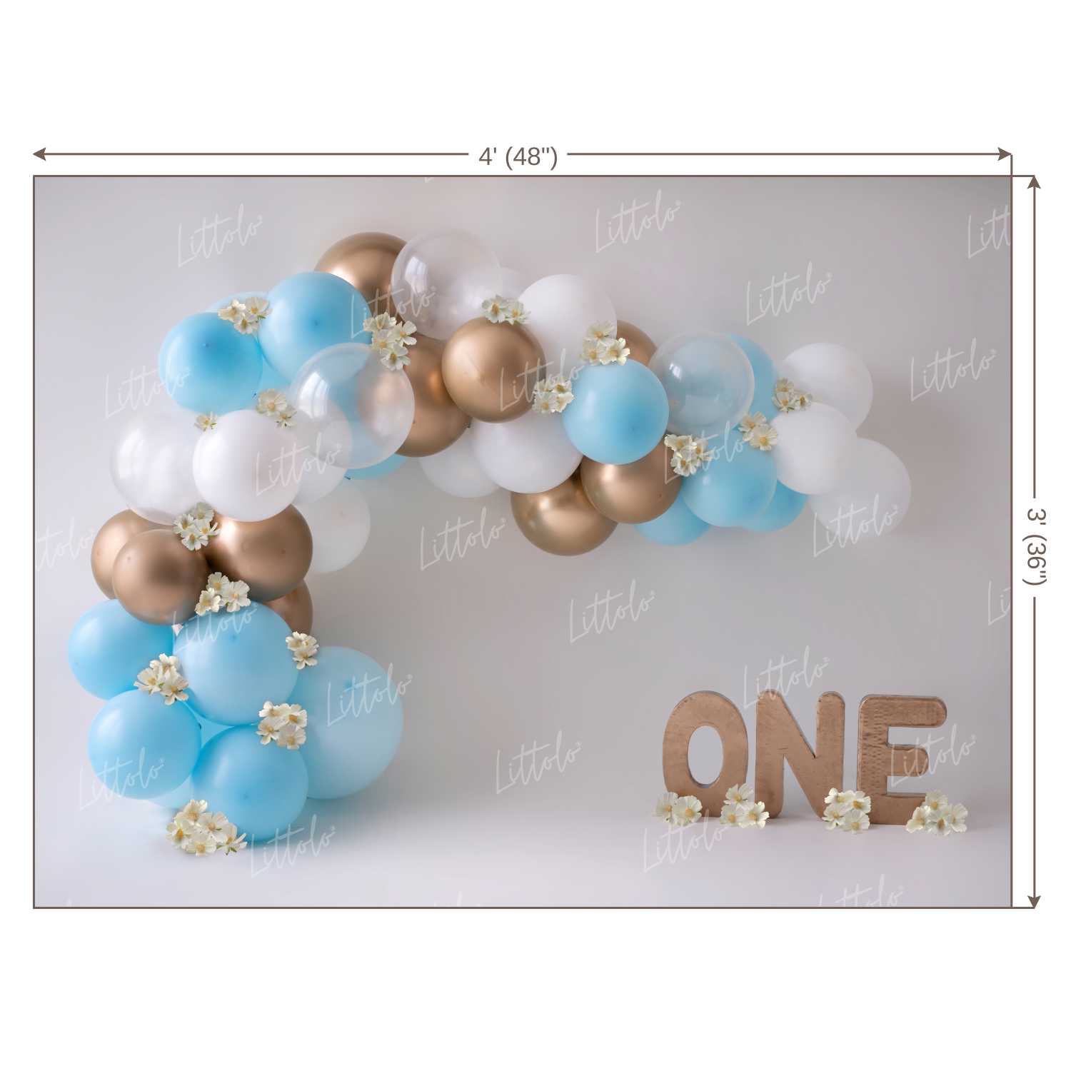 LB0146 Balloons and Cake Smash Backdrop