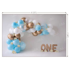 LB0146 Balloons and Cake Smash Backdrop
