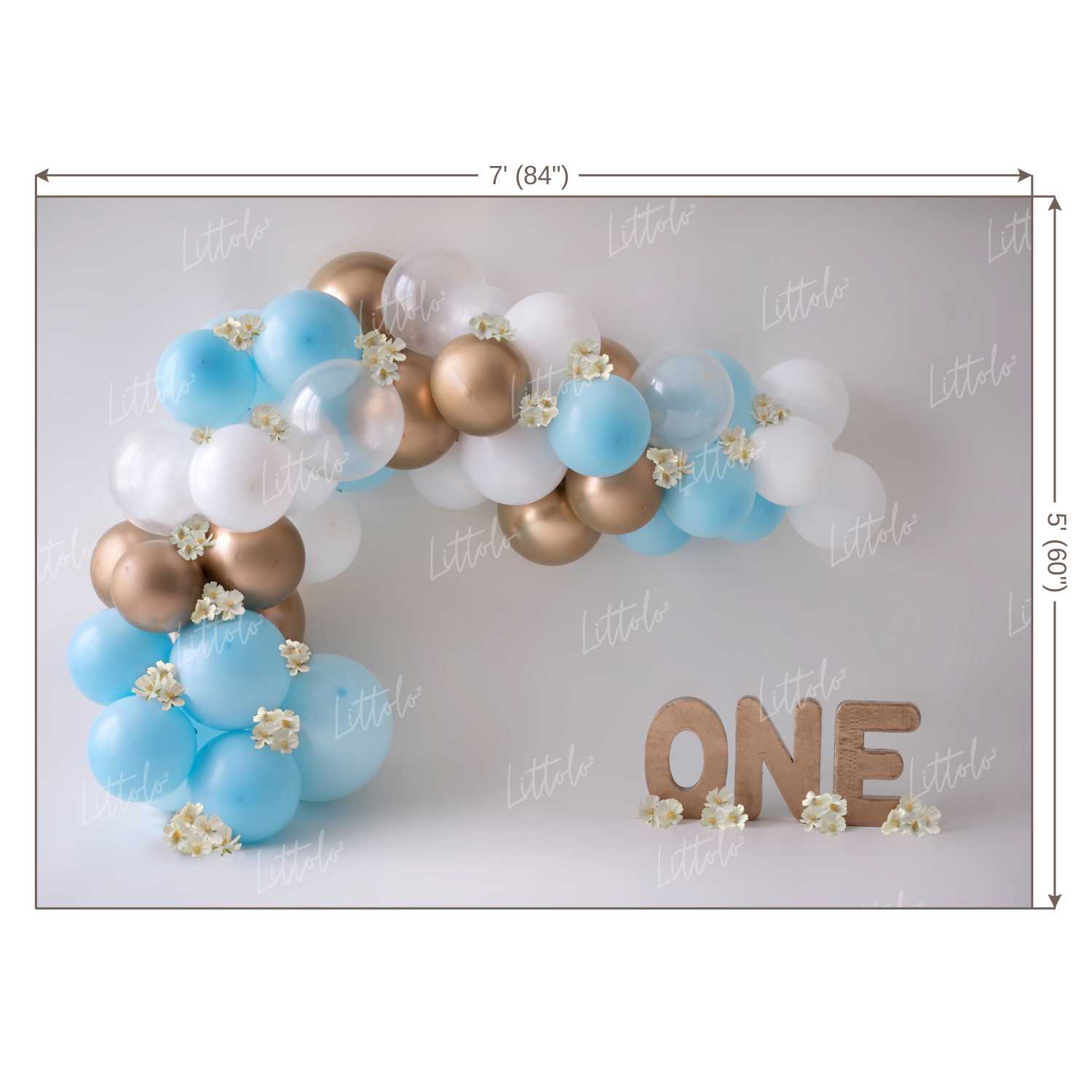 LB0146 Balloons and Cake Smash Backdrop