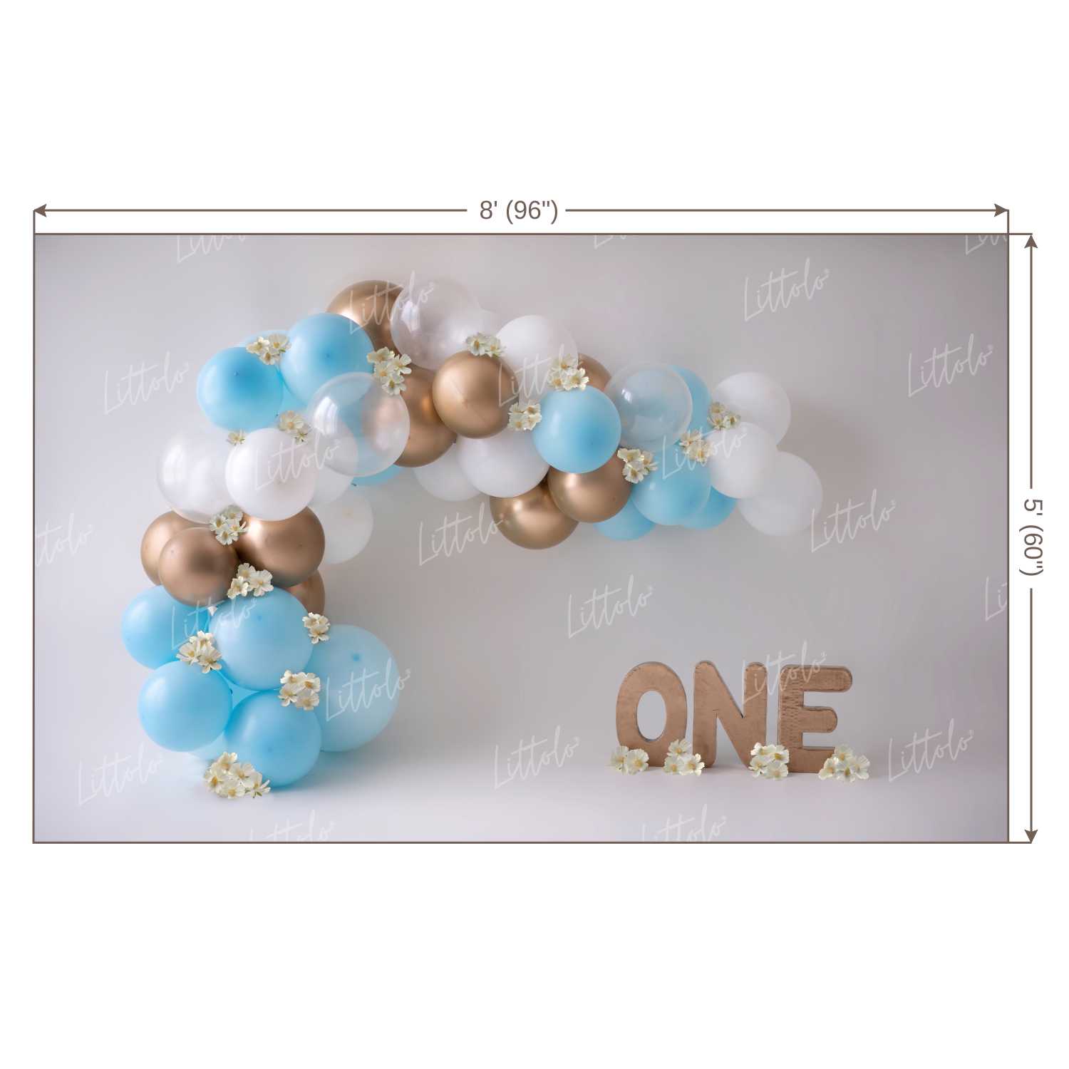 LB0146 Balloons and Cake Smash Backdrop