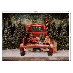 LB0160 Christmas Festivals and Seasons Backdrop