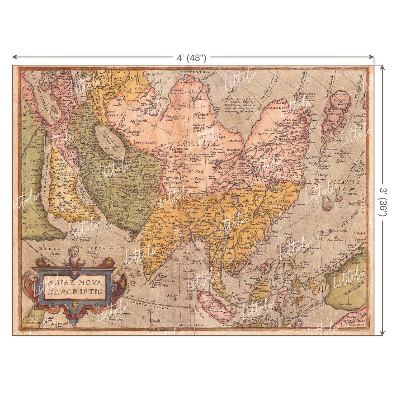 LB0181 Historic World Map Theme Backdrop