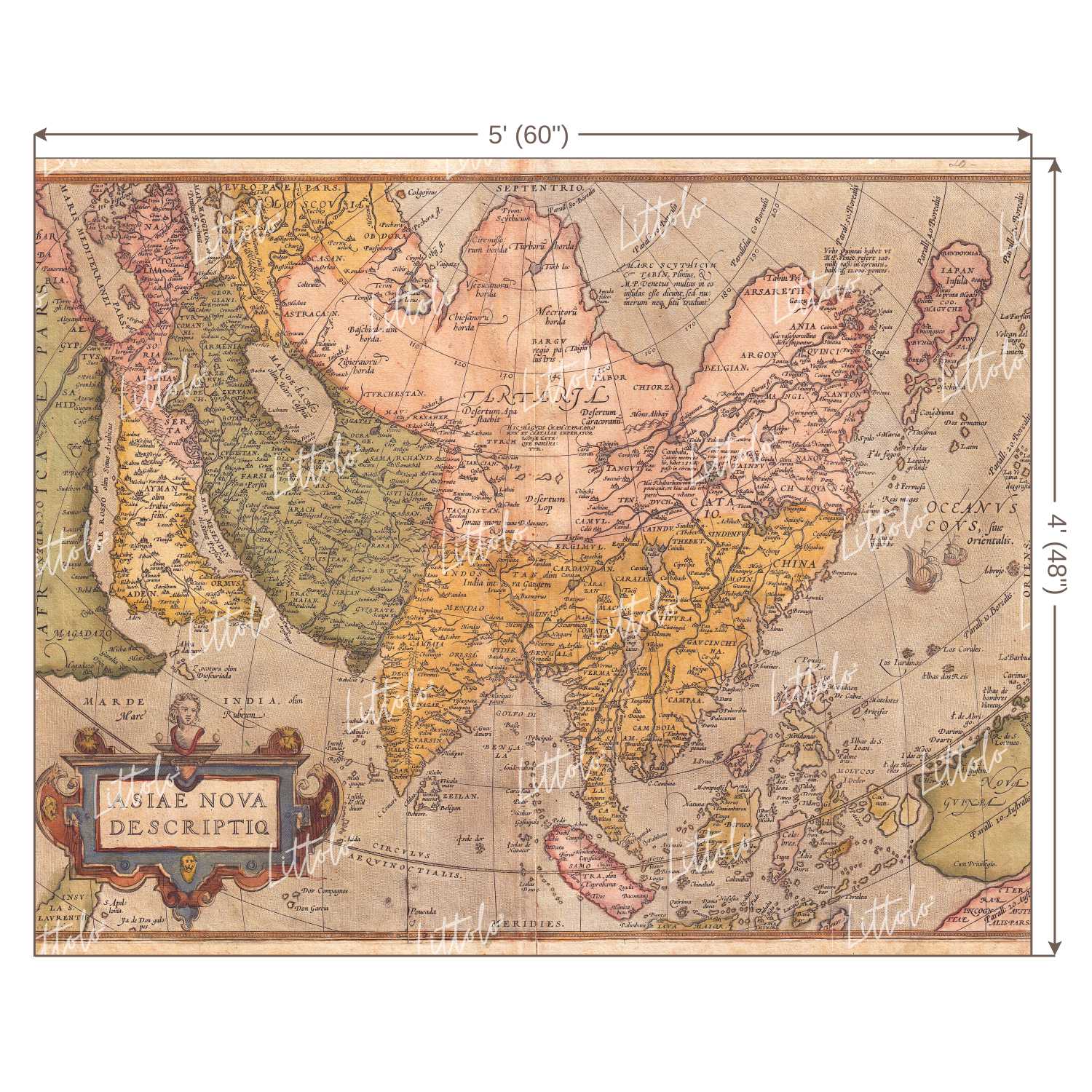 LB0181 Historic World Map Theme Backdrop