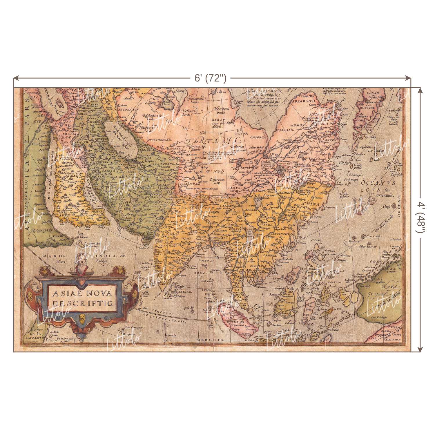 LB0181 Historic World Map Theme Backdrop