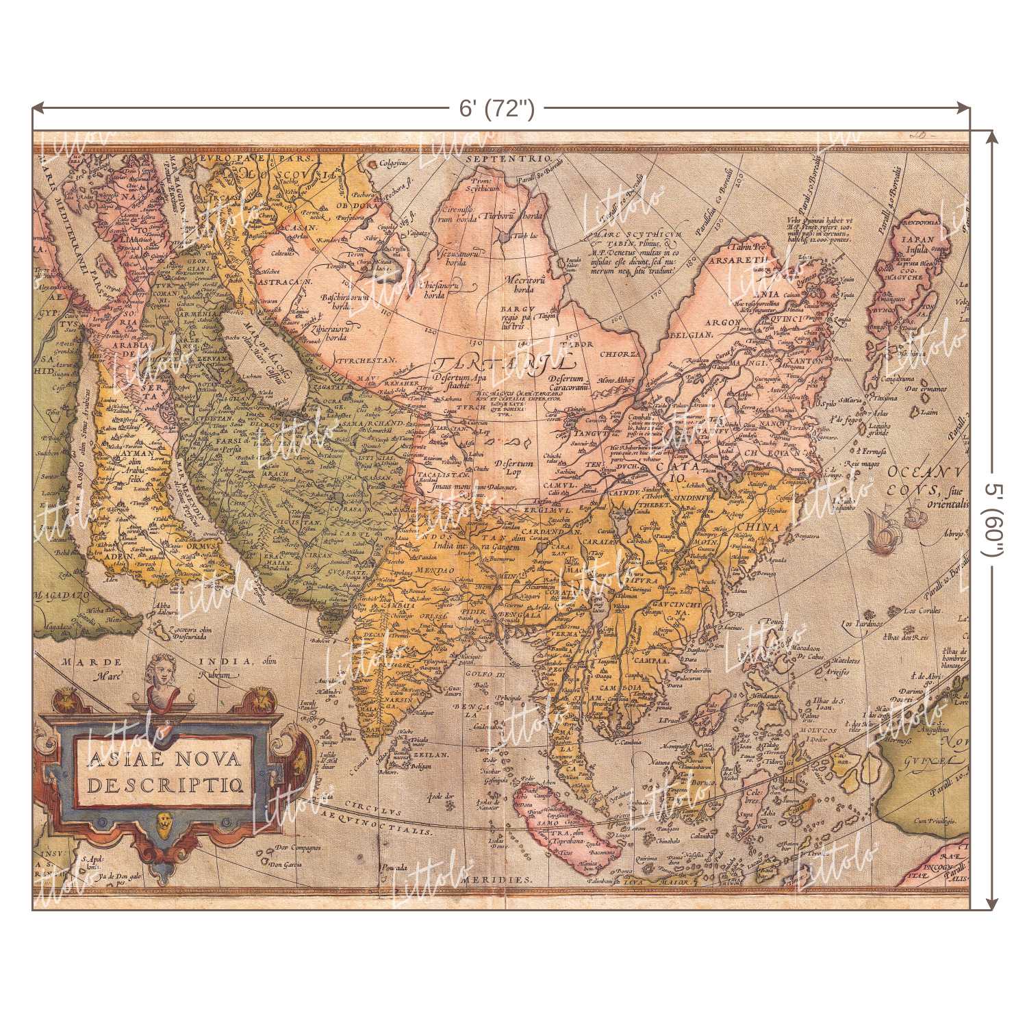 LB0181 Historic World Map Theme Backdrop