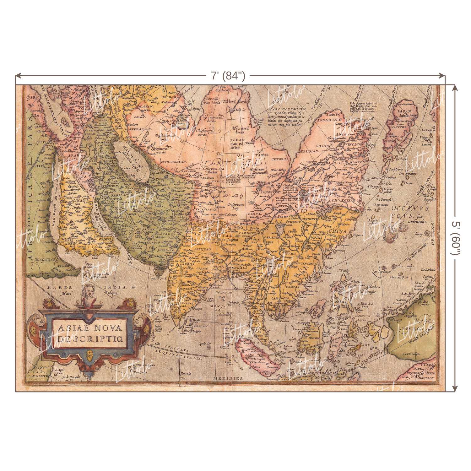 LB0181 Historic World Map Theme Backdrop