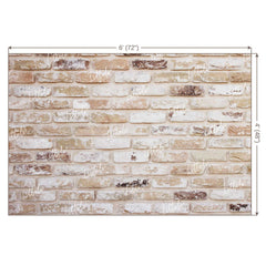 LB0220 Bricks Wall Backdrop
