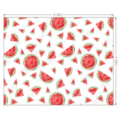 LB0246 Watermelon Fruits Slices Theme Backdrop