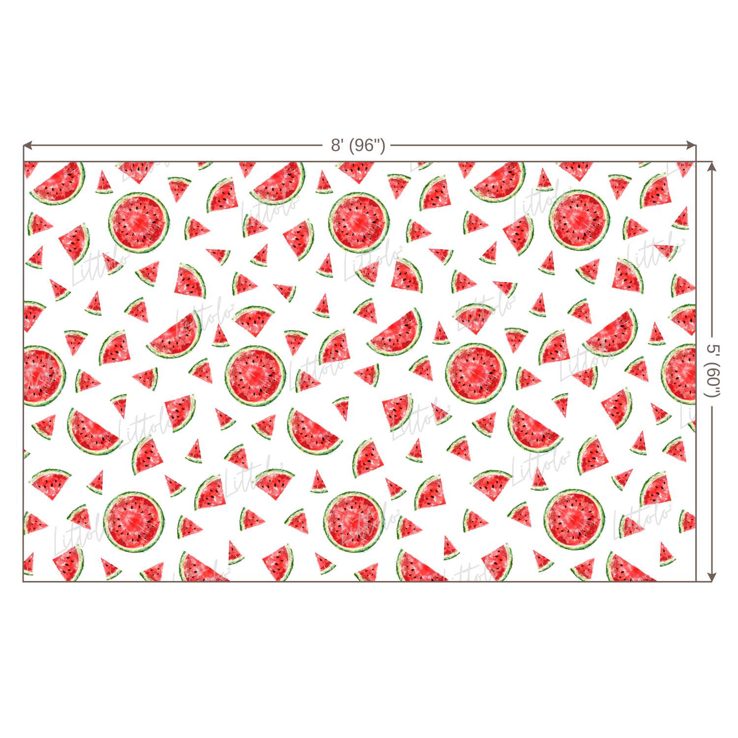 LB0246 Watermelon Fruits Slices Theme Backdrop