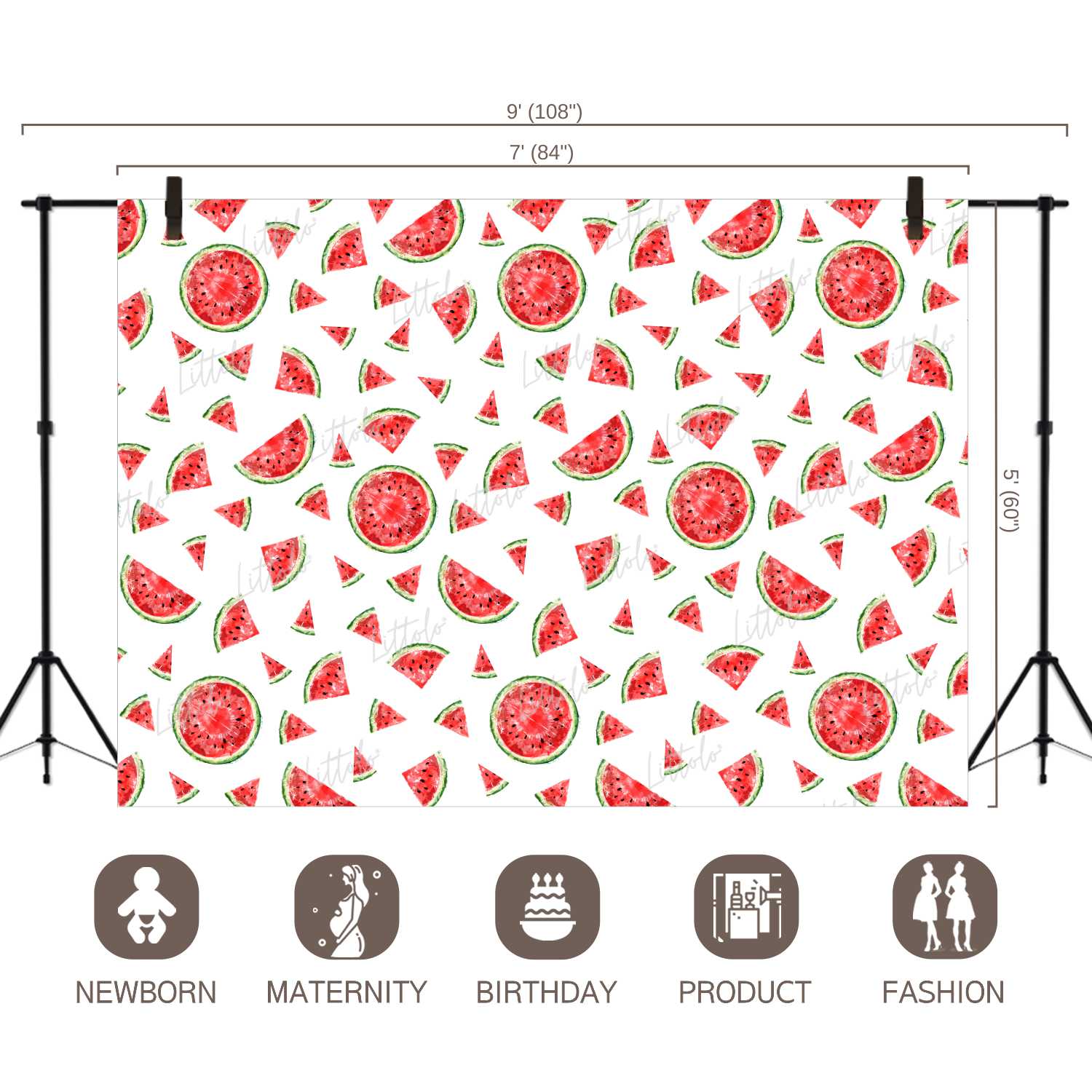 LB0246 Watermelon Fruits Slices Theme Backdrop