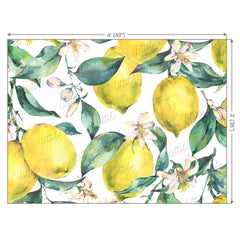 LB0248 Yellow Lemons Fruits Theme Backdrop