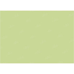LB0302 Sweet Leaf Solid Cold Backdrop
