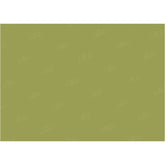 LB0303 Fern Solid Cold Backdrop