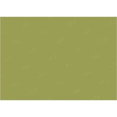 LB0303 Fern Solid Cold Backdrop