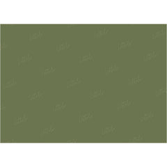 LB0304 New England Ivy Solid Cold Backdrop