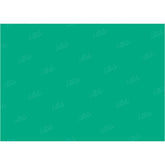LB0306 Emerald Solid Cold Backdrop