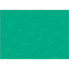 LB0306 Emerald Solid Cold Backdrop