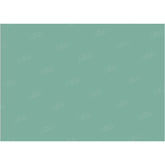 LB0307 Juniper Solid Cold Backdrop