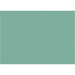 LB0307 Juniper Solid Cold Backdrop