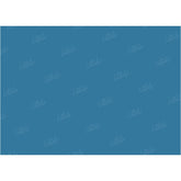 LB0312 Pacifica Solid Cold Backdrop