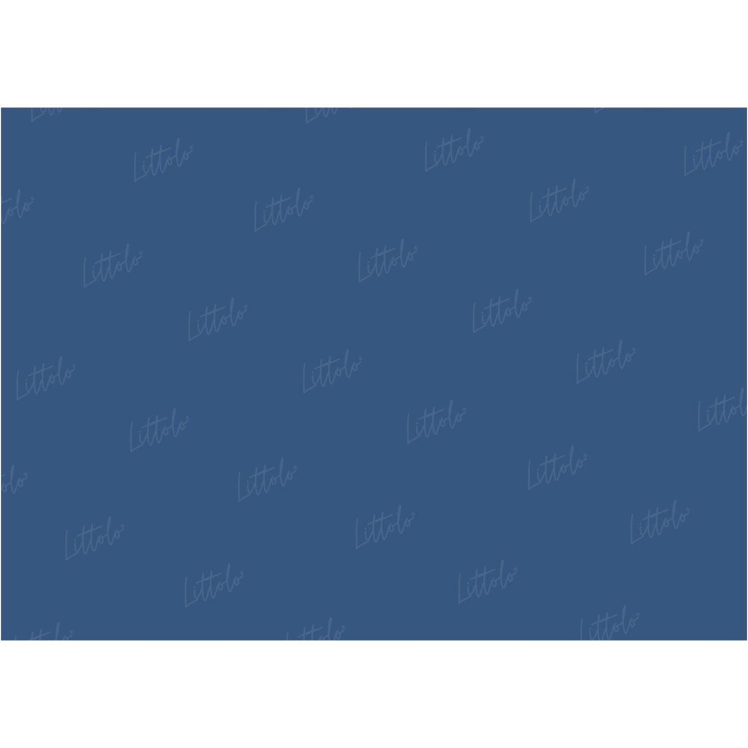 LB0313 Sapphire Solid Cold Backdrop