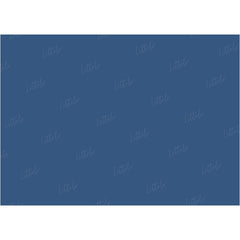 LB0313 Sapphire Solid Cold Backdrop