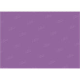 LB0314 Pansy Solid Cold Backdrop