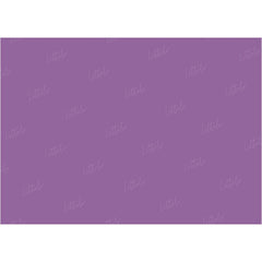 LB0314 Pansy Solid Cold Backdrop