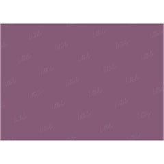 LB0315 Eggplant Solid Cold Backdrop