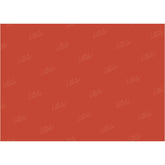 LB0323 Cranberry Solid Warm Backdrop