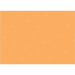 LB0328 Tangerine Solid Warm Backdrop