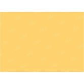 LB0330 Canary Solid Warm Backdrop