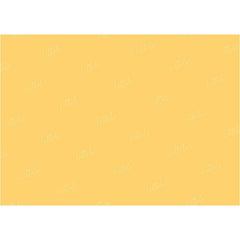 LB0330 Canary Solid Warm Backdrop
