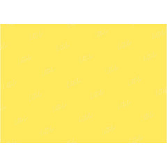 LB0331 Lemon Solid Warm Backdrop