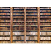 LB0372 Library Backdrop