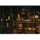 LB0373 Old Vintage Library Backdrop