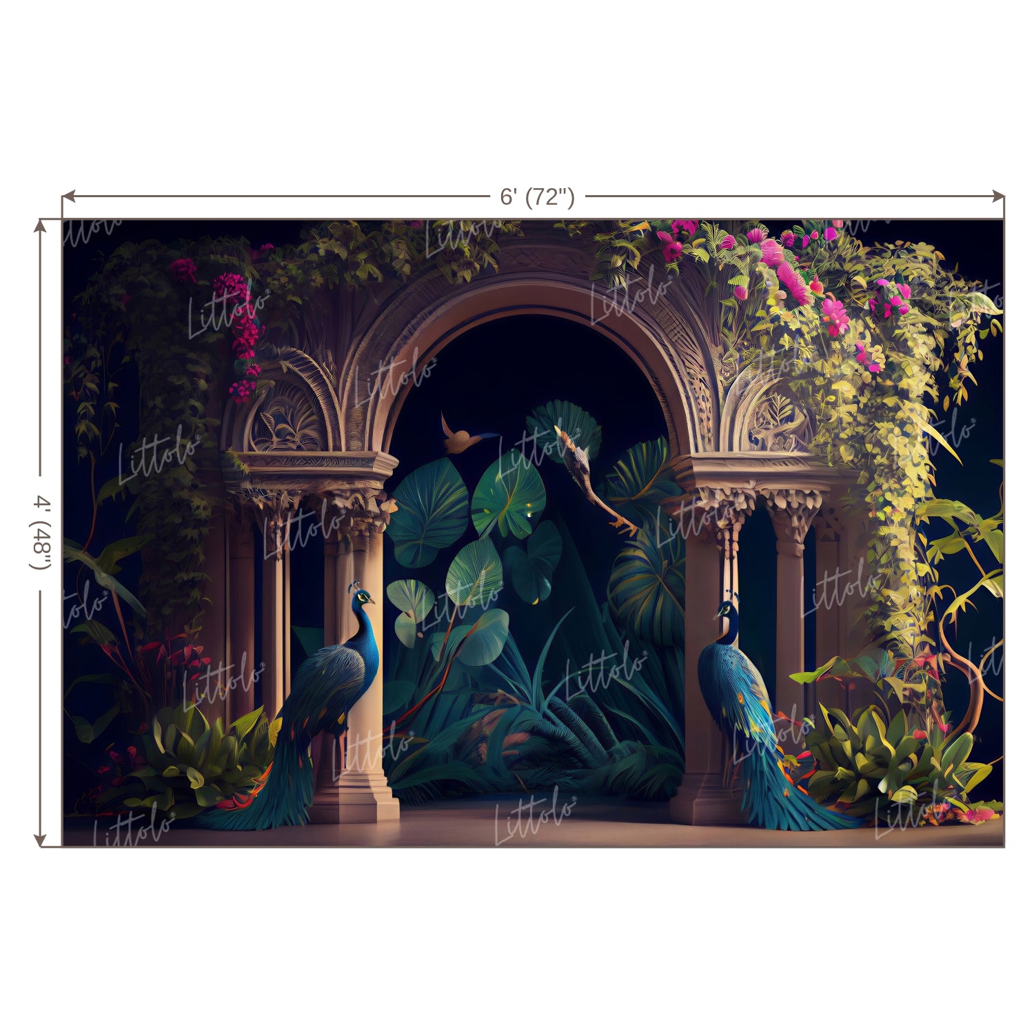 LB0493 Enchanted Doorway Peacock Theme Backdrop