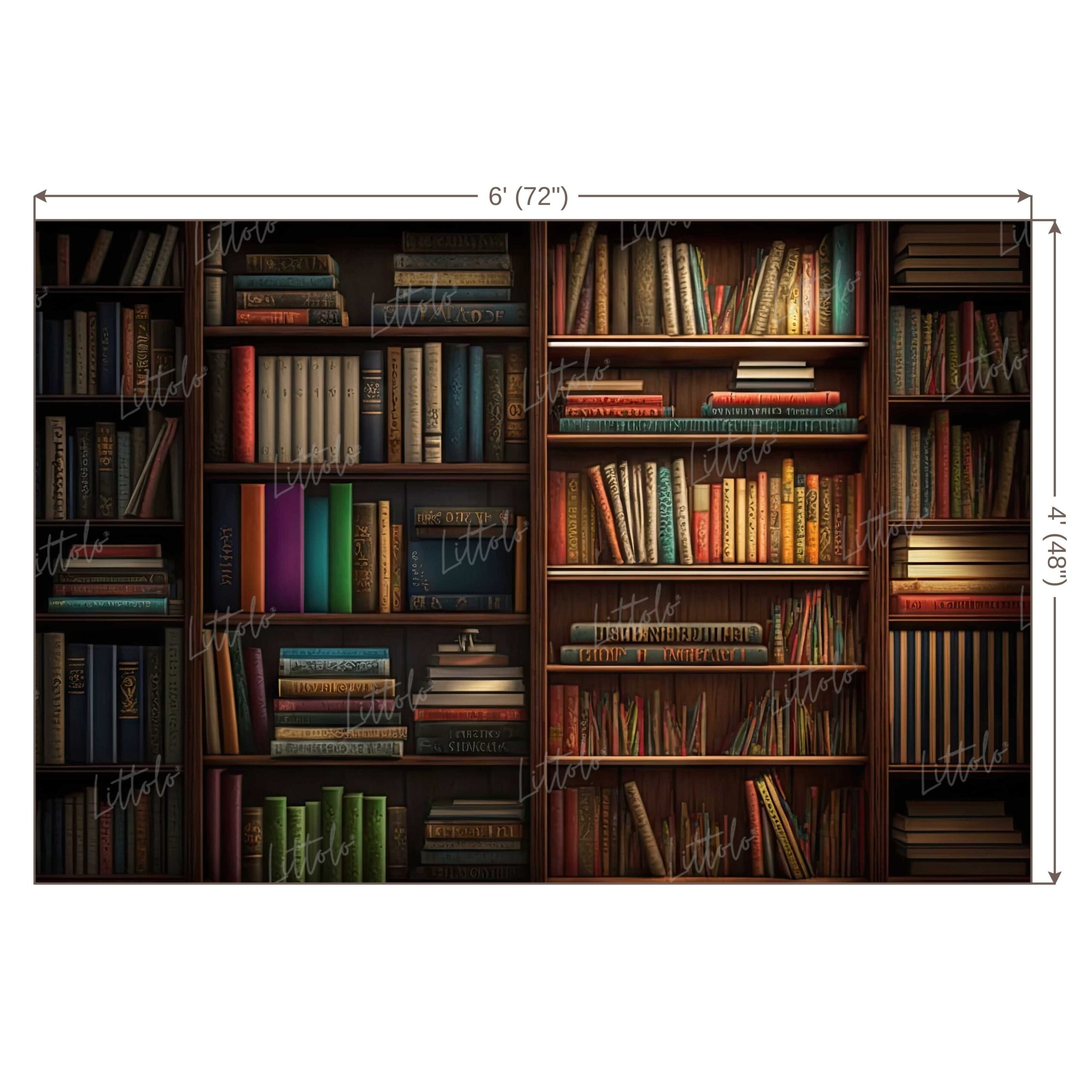 LB0597 Library Books on Shelves Backdrop